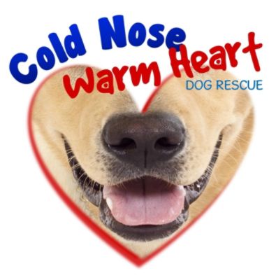 Cold Nose Warm Heart