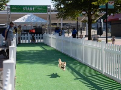 Schlossmann Subaru City of Milwaukee Supports 10th Annual Fromm Petfest