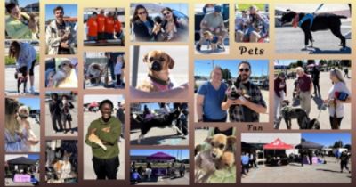LOVE THEM FOR LIFE: A DAY FULL OF LOVE, SECOND CHANCES & FOREVER HOMES!