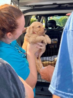 Local Microchip Clinic Plays Tiny Role in Helping Maryland Man Achieve Olympic Dreams