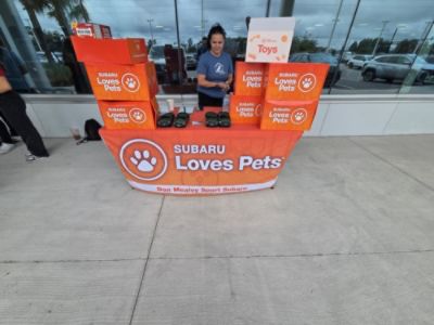 Sport Subaru Welcomes Pet Rescue by Judy for Subaru Loves Pets Adoption Event