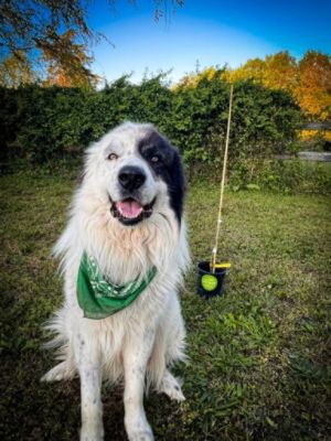 Growing Together with Our Community