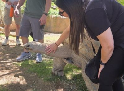 Learning to Love The Earth: Tucson Subaru Goes Behind the Scenes at Reid Park Zoo
