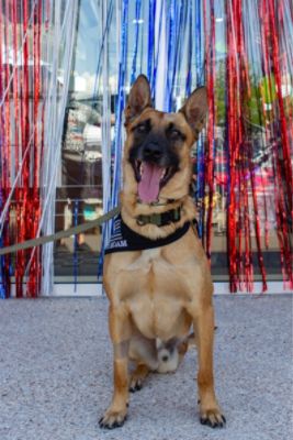 Hope Shouldn't a Waiting List - Steve C.