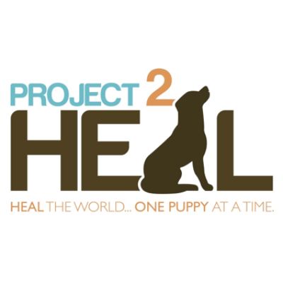 Project 2 Heal