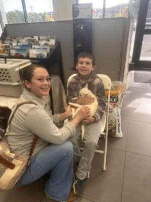 Helping Animals Find New Homes