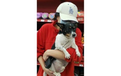 Sellers Helps Shelter Animals Find Homes