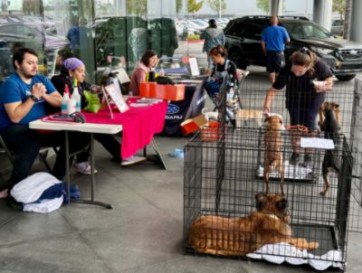 Subaru Loves Pets, Priceless Pets