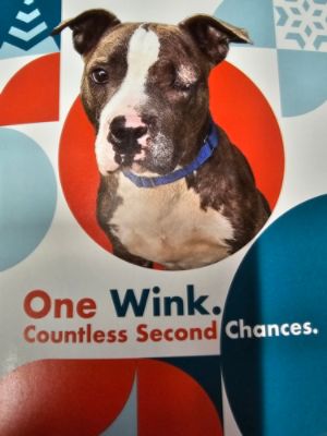 One Wink. Countless Second Chances