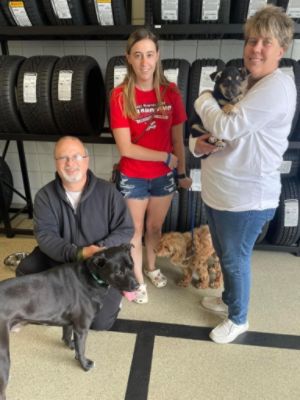 PA Caring for K9’s Adoption Event