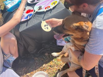It Was a Great Day to Be a Dog at Paws in the Park!