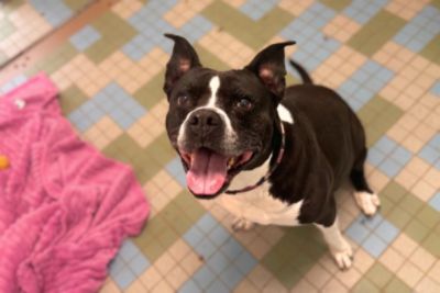 Clara Gets Her Second Chance