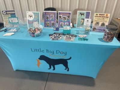 Little Big Dog Dog Adoption Event