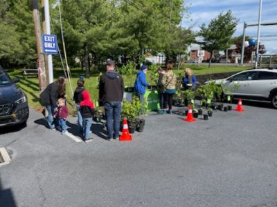 Arbor Day