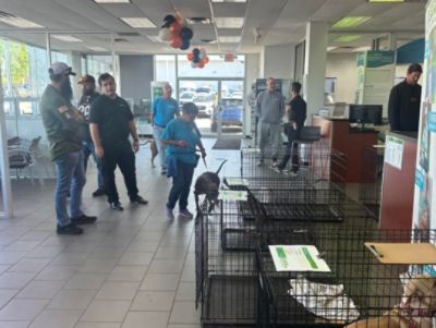 Caring about pets AND their people