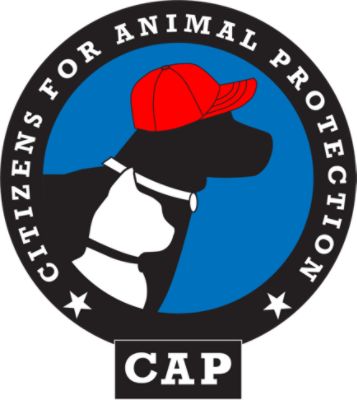 Citizens For Animal Protection