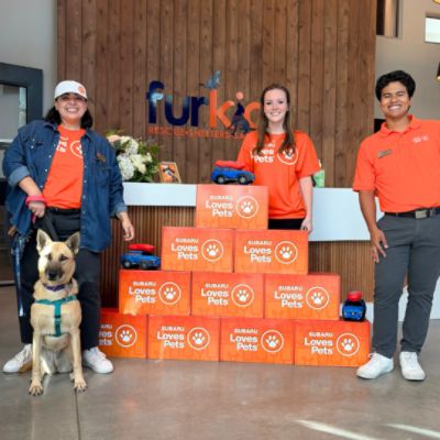 Six Dogs, One Afternoon, and a Partnership That Shows Up