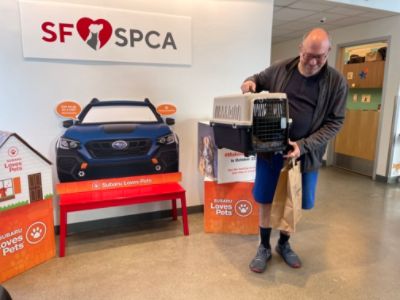 Subaru Loves Pets Adoption Event at San Francisco SPCA with Putnam Subaru in Burlingame!