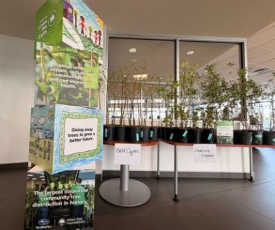Arbor Day Tree Event