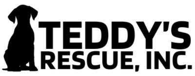 Teddy's Rescue