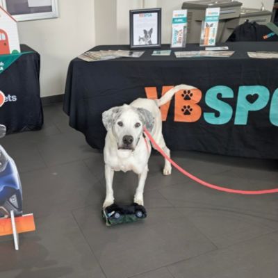 Love Never Grows Old: Louie’s Second Chance