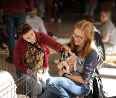 Berman Subaru Raises Awareness for Adoptable Animals