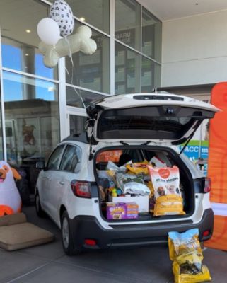 Tucson Subaru Packs an Outback for PACC