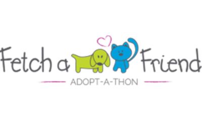 partnerCompanyName