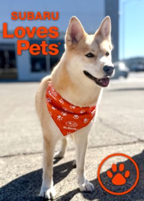 Marin Subaru Loves Pets and Supports Marin Humane