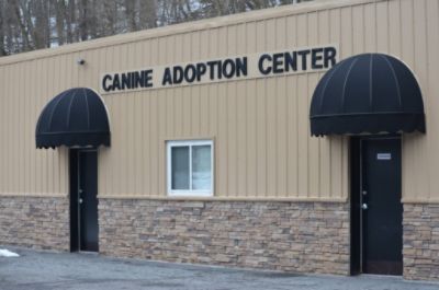 Mon County Canine Adoption Center
