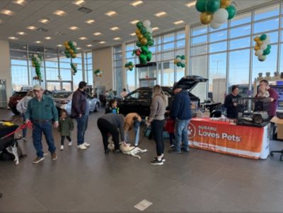 Subaru Loves Pets – Pet Adoptions