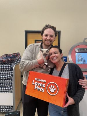 Supporting Pets in Need