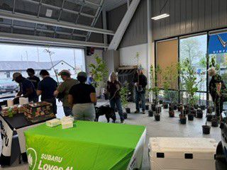 Rooted in Community: Our Arbor Day Tree Giveaway