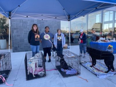 Supporting Shelters, One Paw at a Time: Romain Subaru Hosts 'Make a Dog’s Day'
