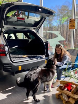 Furkids pays a visit to Classic Subaru!