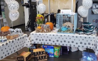 A Special Day for HART's Dogs at Dulles Subaru