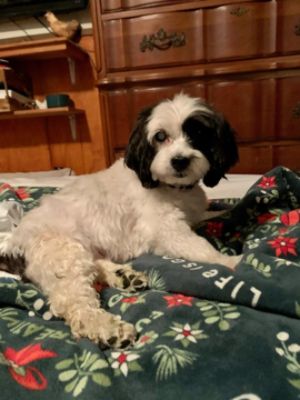 Marnie Finds a Home - AHR 
