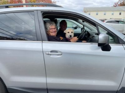 Subaru Loves Pets --puppy Louise