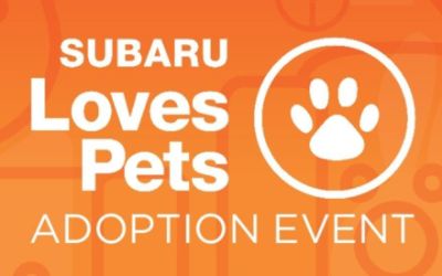 Subaru Loves Pets $25 Adoption Event
