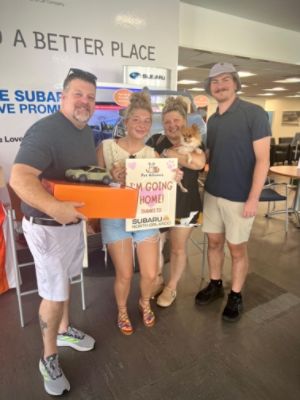 Hurricane Milton Didn't Stop Homeless Dogs from Finding Thier Furever Families!