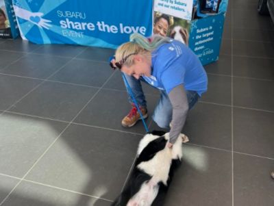 Wackerli Subaru shows unwavering support to Snake River Animal Shelter!