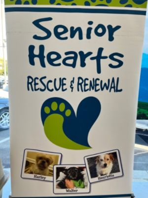 Senior Hearts Rescue and Renewal