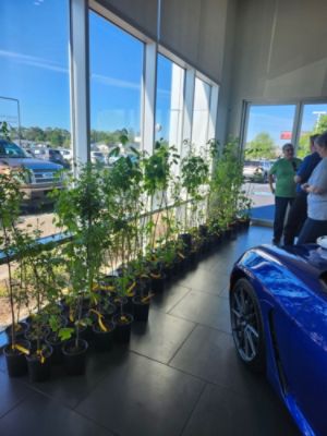 Planting Hope: O'Steen Subaru of Valdosta Gives Back—Again