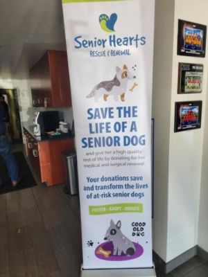 Baierl Subaru Loves Pets 2024