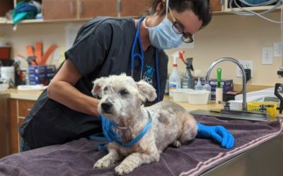 Lifesaving Changes and Second Chances