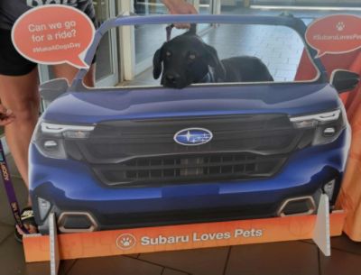 Wisconsin Bound Dog Rescue Adoption Event - Subaru Loves Pets