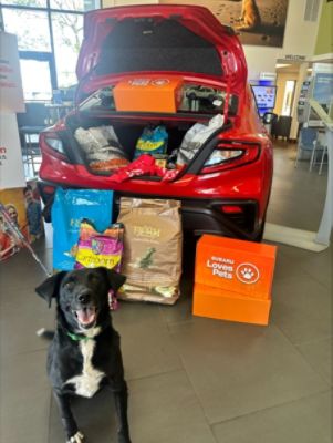 FITZGERALD COUNTRYSIDE SUBARU PET ADOPTION