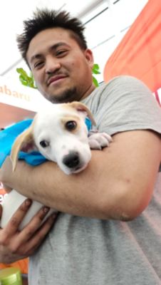 Finding loving homes for pets with Subaru