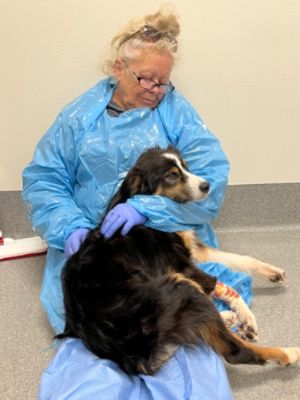 Bruno's Story