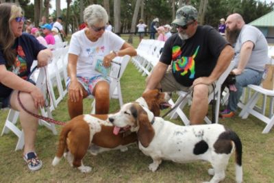 Brownie’s Mutt Strut 2025: A Community Walking Together for Animals”
